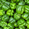 200 BIG GREEN Bell PEPPER Sweet Capsicum Annuum Vegetable Seeds