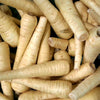 1000 ALL AMERICAN PARSNIP Pastinaca Sativa White Root Vegetable Seeds