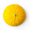 50 Golden Beauty CASABA MELON Cucumis Melo Fruit Seeds