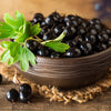 20 GOLDEN CURRANT SHRUB Black Fruit Yellow Flower Ribes Chrysobotrya Aurea Seeds