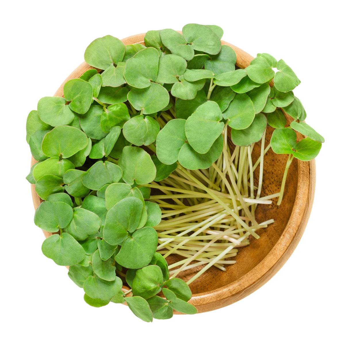 Organic Buckwheat Seeds – Fagopyrum Esculentum Grain Cover Crop Ground Cover Flower Vegetable – photo 8