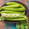 Baby Lima Bean Seeds – Phaseolus Lunatus Vegetable