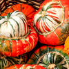 10 American TURKS TURBAN SQUASH Gourd Cucurbita Maxima Vine Seeds