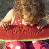 Florida Giant Watermelon Seeds – Cannon Ball Black Diamond Citrullus Fruit