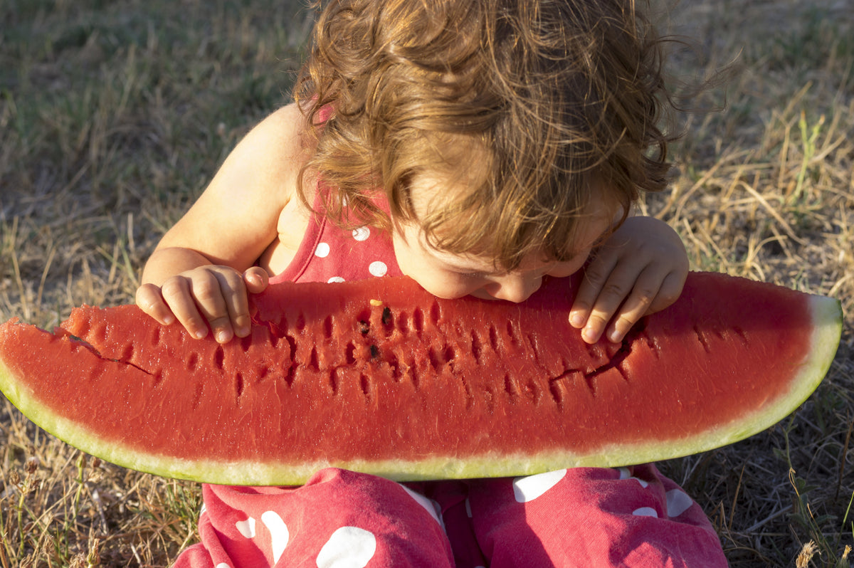 Florida Giant Watermelon Seeds – Cannon Ball Black Diamond Citrullus Fruit