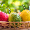2 GAC FRUIT Gac Melon Vine Momordica Cochinchinensis Seeds