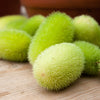 10 WOOLY BEAR GOURD Cucumis Dipsaceus Fuzzy Green Ornamental Seeds