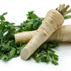 1000 HAMBURG ROOTED PARSLEY Petroselinum Crispum Tuberosum Root Vegetable Seeds