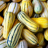 50 DELICATA SQUASH Striped Sweet Potato Cucurbita Pepo Vegetable Seeds