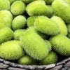 10 WOOLY BEAR GOURD Cucumis Dipsaceus Fuzzy Green Ornamental Seeds