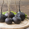 300 BLACK SPANISH ROUND Hot Spicy European Raphanus Sativus Root Vegetable Seeds