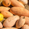 25 Jumbo PINK BANANA SQUASH Perilla Frutescens Heirloom Winter Vegetable Seeds