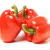 150 Yolo Wonder Sweet RED BELL PEPPER Capiscum Annuum Vegetable Seeds