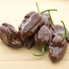 50 Hot BROWN HABANERO PEPPER Capsicum Chinense Seeds