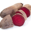 250 CYLINDRA BEET Beta Vulgaris Vegetable Seeds