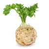 500 GIANT PRAGUE CELERIAC Apium Graveolens Celery Root Vegetable Seeds