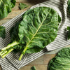Georgia Collards (Southern Seeds – or Walking Collards) Collard Greens Brassica Oleracea Acephala Vegetable – photo 2