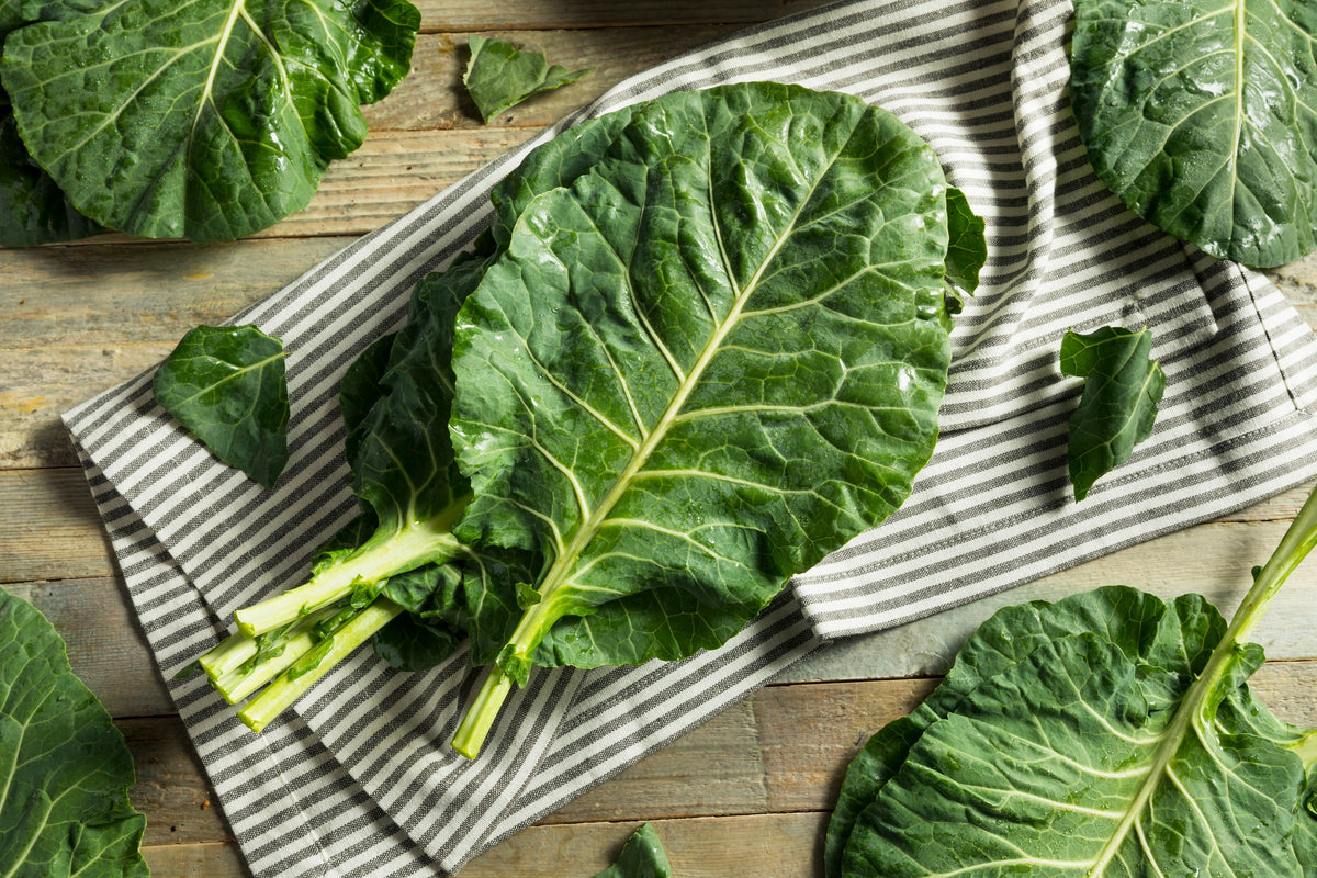Georgia Collards (Southern Seeds – or Walking Collards) Collard Greens Brassica Oleracea Acephala Vegetable – photo 2