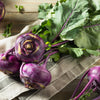 2000 PURPLE VIENNA KOHLRABI Brassica Oleracea Gongylodes Vegetable Seeds