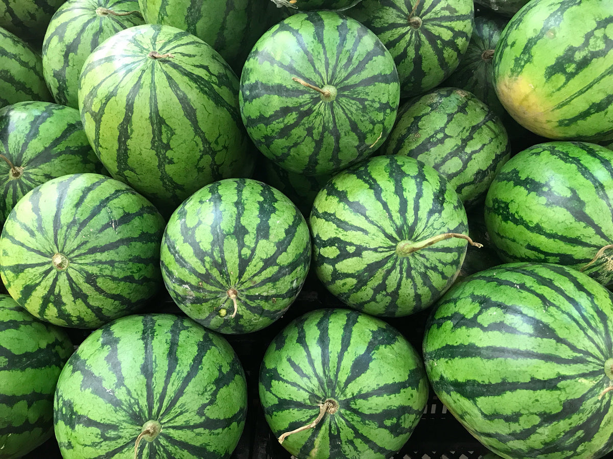 Crimson Sweet Watermelon Seeds – Citrullus lanatus Fruit Melon – photo 5
