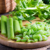 1000 TALL UTAH CELERY Apium Graveolens Dulce Vegetable Seeds