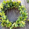 20 TRUE MYRTLE Myrtus Communis aka Common & Sweet Myrtle Fragrant White Flower Edible Blue Berry Fruit Shrub Seeds