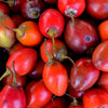 10 TAMARILLO / TREE TOMATO Cyphomandra Betacea Solanum Fruit Tree Seeds