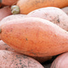25 Jumbo PINK BANANA SQUASH Perilla Frutescens Heirloom Winter Vegetable Seeds