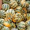 15 CARNIVAL SQUASH Winter Cucurbita Pepo Vegetable Seeds