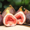 30 COMMON Edible FIG TREE Ficus Carica Purple Brown Skin Pink Flesh Fruit Seeds