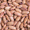 Cranberry Bean Seeds – French Horticulture Borlotti Roman Phaseolus Vegetable – photo 3