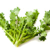 1000 EARLY Fall RAPINI BROCCOLI (Broccoli Raab / Broccoli Rabe / Brocoletti / Cima di Rapa) Brassica Ruvo Vegetable Seeds