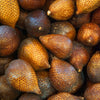 Snake Fruit (Salacca zalacca)