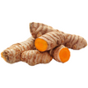 Turmeric, Orange (Curcuma longa)