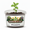 Spearmint Grow Kit