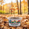 Sugar Maple Tree Grow Kit