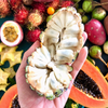 Sugar Apple 'Na Dai' (Annona squamosa L)