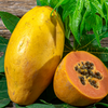 Sunset Solo Papaya (Carica papaya)