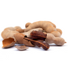 Tamarind 'Thai Sweet' (Tamarindus indica)