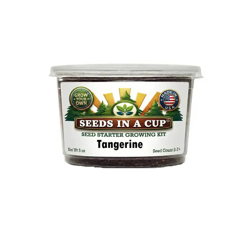 Tangerine Tree Grow Kit