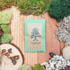 Taxodium Distichum 'Bald Cypress' Seeds