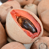 Mamey Sapote 'Tazumal' (Pouteria sapota)