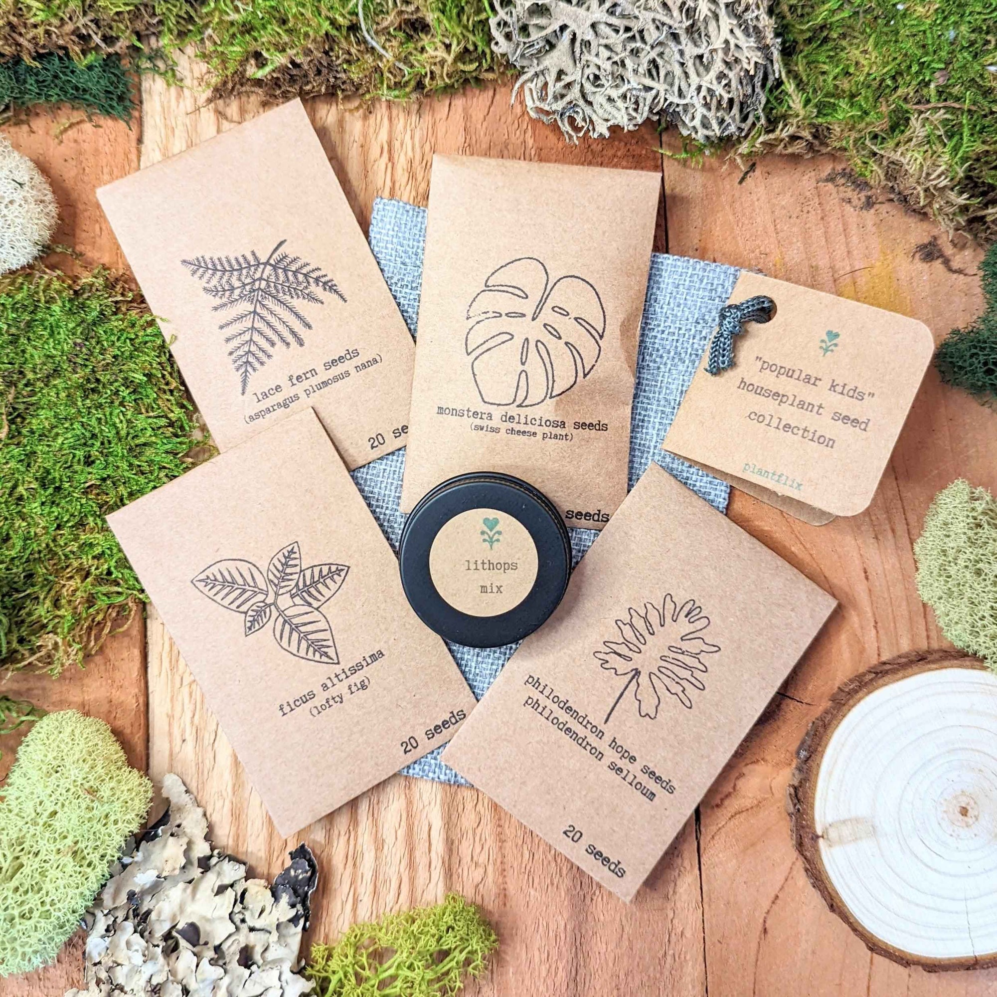 "The Popular Kids" Houseplant Seed Collection