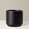 Large Mexia Planter