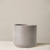Large Mexia Planter