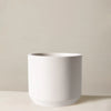 Large Mexia Planter