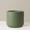 Large Mexia Planter