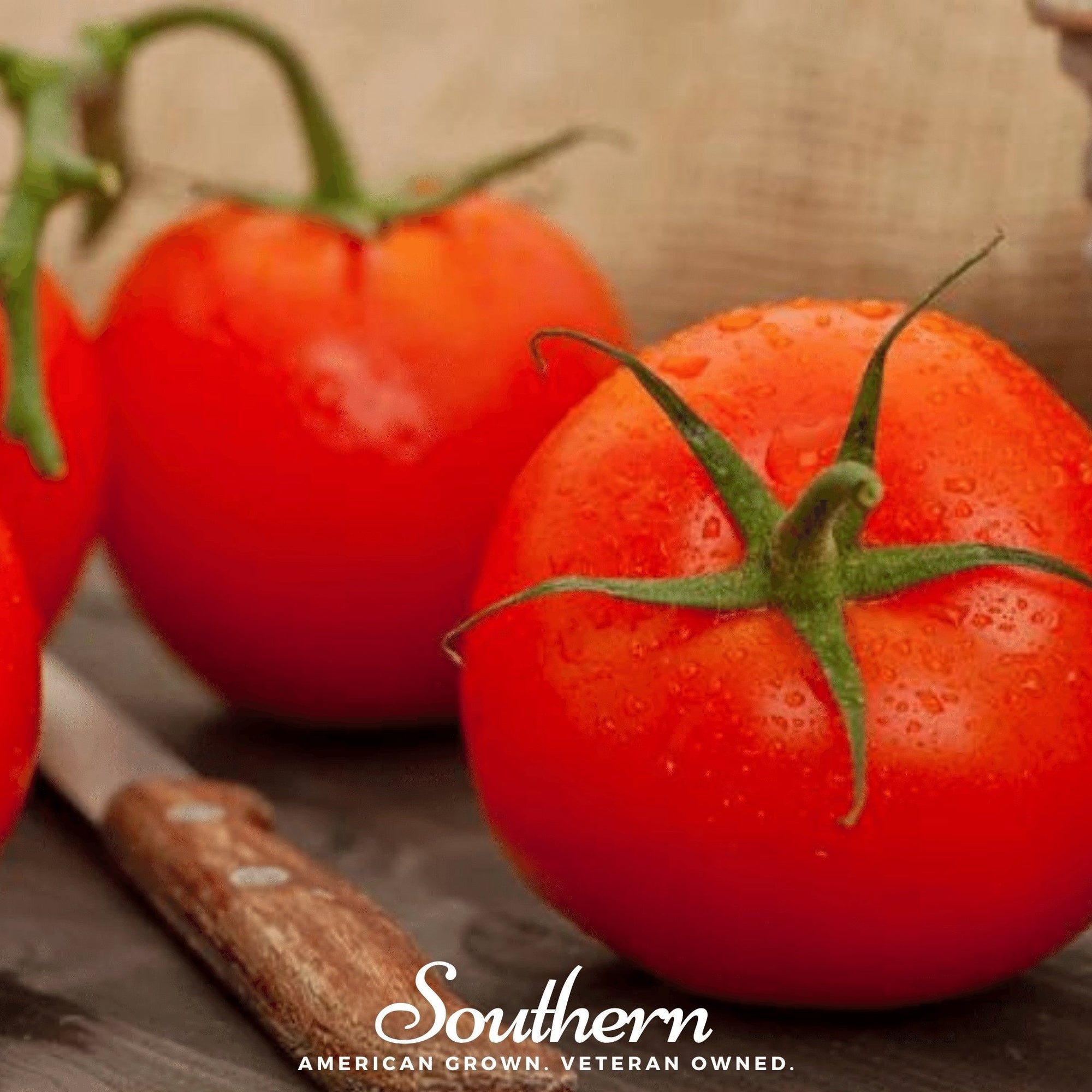 Floridade Tomato – 50 Seeds
