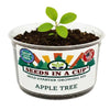 Apple Tree Grow Kit
