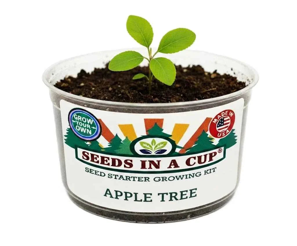 Apple Tree Grow Kit